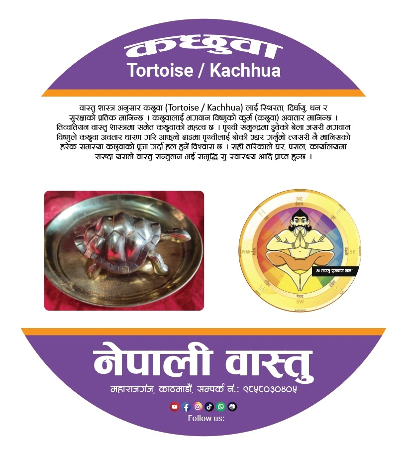 Home nepali vastu solution